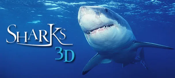 game Cá Mập Sharks 3d